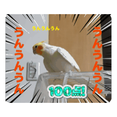Y_20260807175740