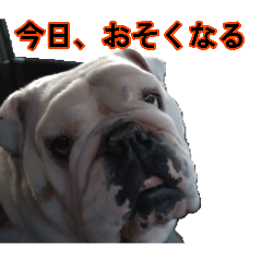 Te_20260807095707