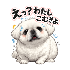 Hirokichi25_20260807094644