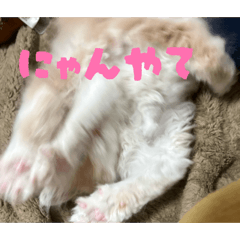 yuyuchan_20260807100631