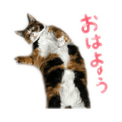 moejiji