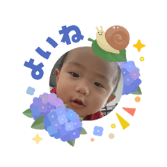 yasai_20260807113130