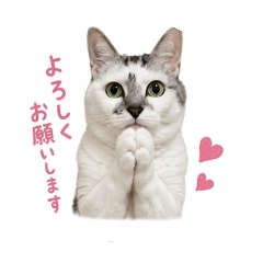 NaTsU_20260807113601