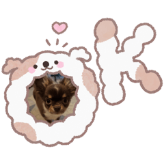 saki_20260807115843