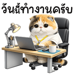 Samsee working