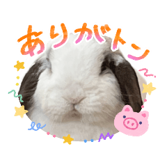piyopiyo_20260807103134