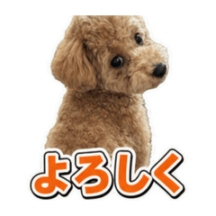 kimu tada_20260807110603