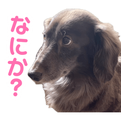kam_20260807110109