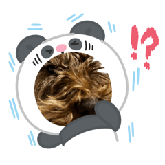 Hana_20260807105956