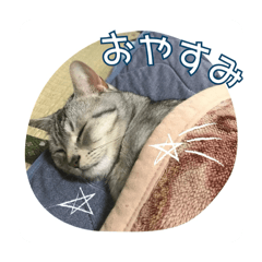 mayu_20260807111700