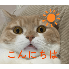 Khinano_20260807114719