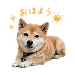 Makoto_20260807133905