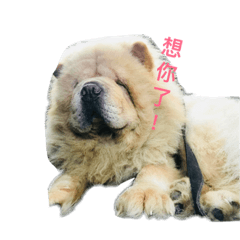 林阿肥
