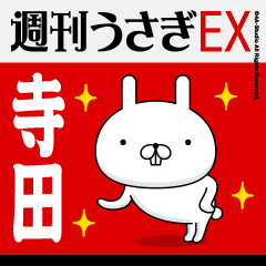 "Terada" Name Feature - Showa