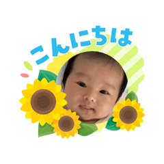 hoho_20260807164321