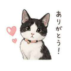 Yu_20260807155157