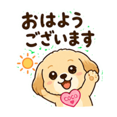 coco_20260807162346