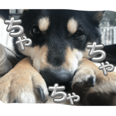 yuki_20260807173042