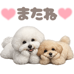 DOG STAMP ORDER_20260808112120