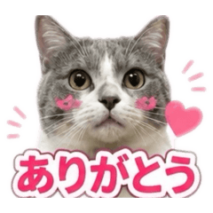 Yu_20260807165152