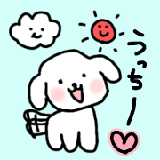 white dog @@ ucchi