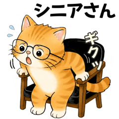 ♡ シニアさんあるある今日もあるある