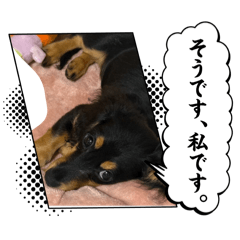 yu_20260807192320