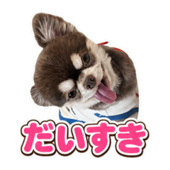 monaka_20260807175342