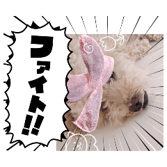 yuzu_20260807175517