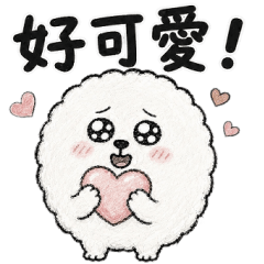 棉花糖貴賓狗！