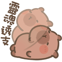 capybara pudding-Clear one's mind