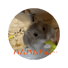 katudonman_20260808132128