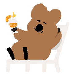 和 QUOKKA & BOBO 一起過夏天