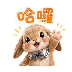 洛比垂耳兔