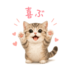 Mofu Labo_20260808135014