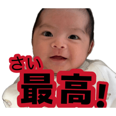 SASUKE_20260807205558