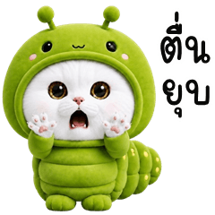 Caterpillar Kitty (E-San)