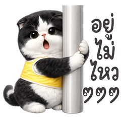 ลายวัว อิอิ