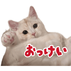Latte_20260807
