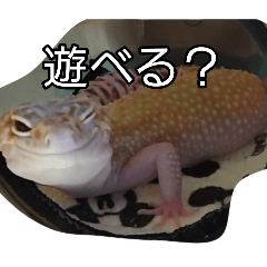 ouki_20260807204511