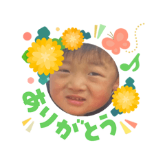mayohasho_20260807204851