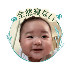 Shelly_20260807204837