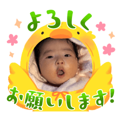 shirasu_20260807212404