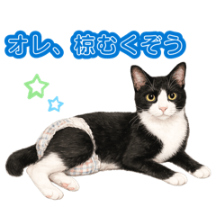 Mai_20260807233511
