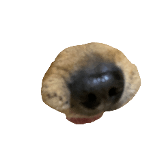 coco_20260808045717