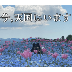 mayu_20260807224233