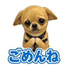coco_20260808005425