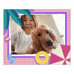 tomo_20260808142846