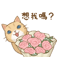 貓咪日和 七夕傳情篇