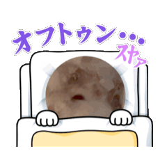 @mutan_20260808163736